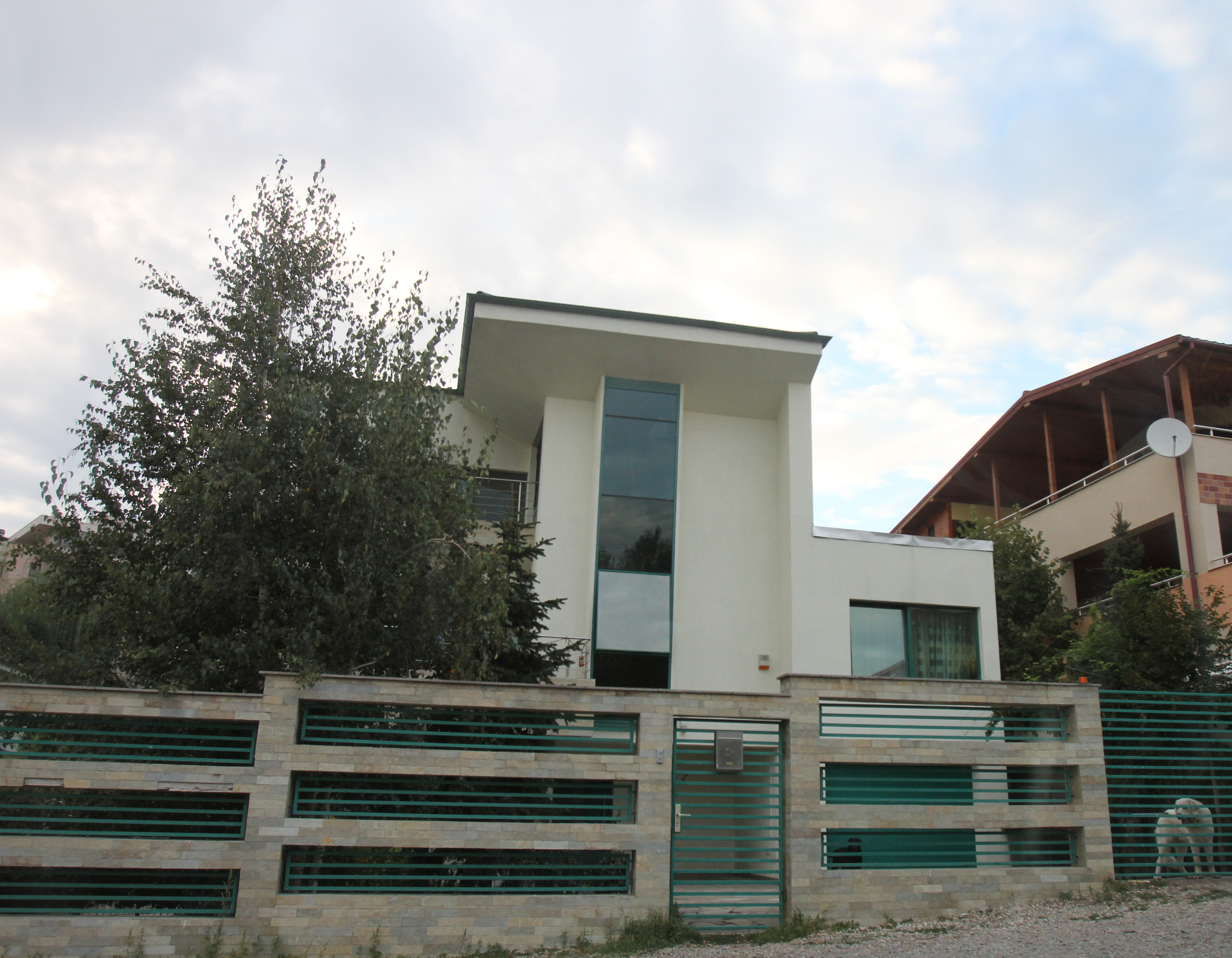 Doi caini au grija de proprietatea ministrului