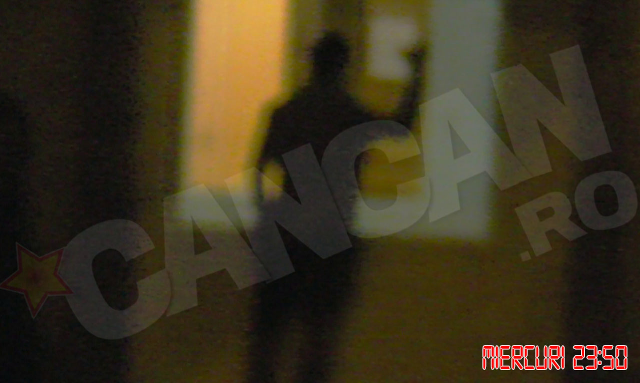 Ajuns la scara, observa reporterii si ii saluta jovial