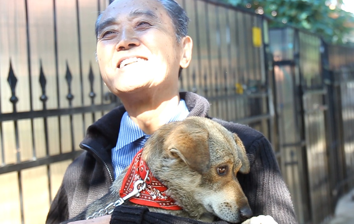 Haruya si toia lui vor lua catelusa In Japonia