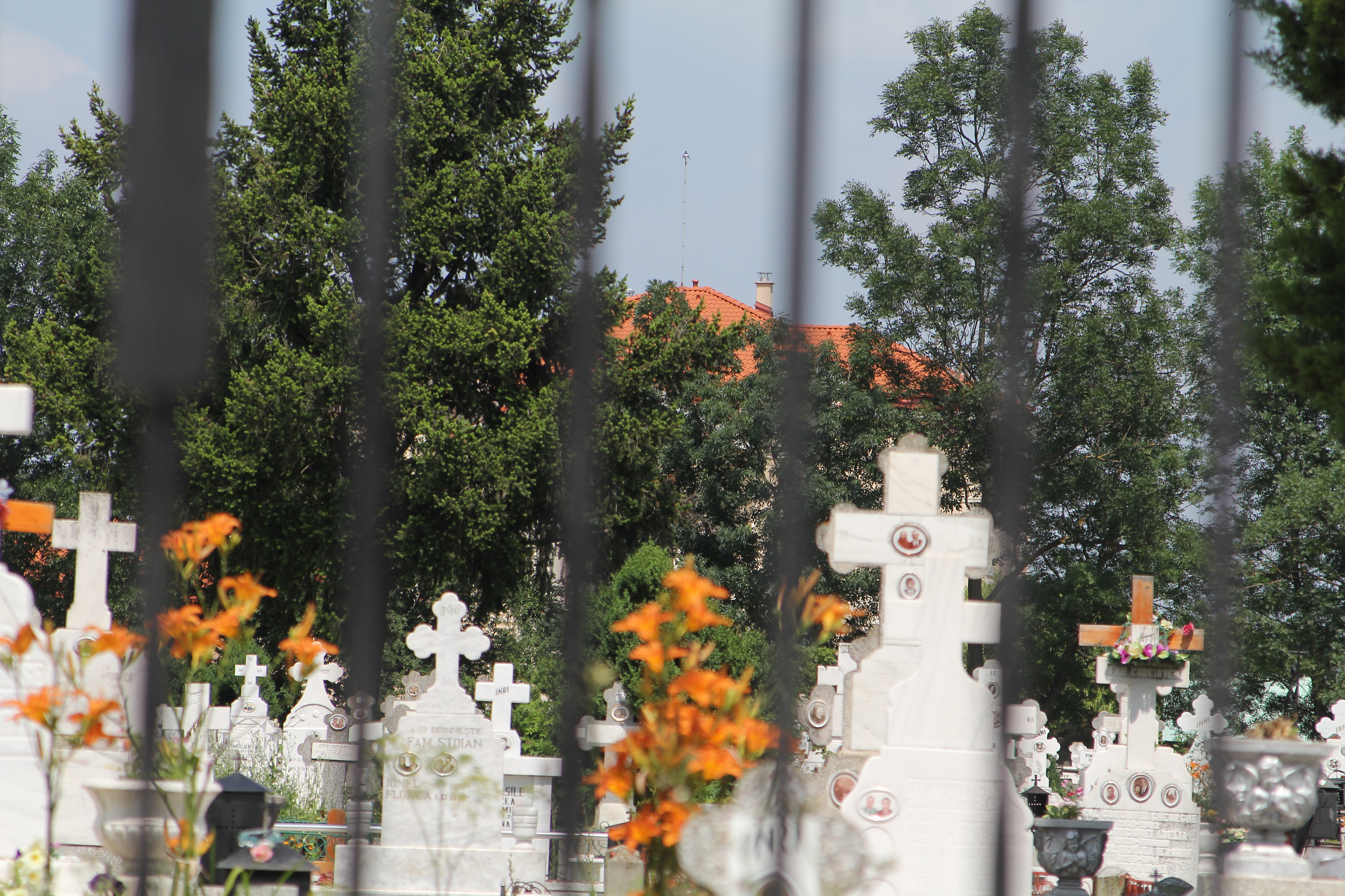 Adriean Videanu si-a construit palatul din Snagov intre lac si cimitir