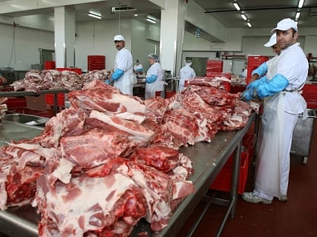 Fermele de cai, vaci si porcine le-au adus falimentul