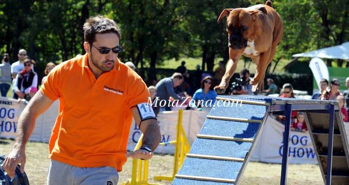 Tudy si Skiper in actiune