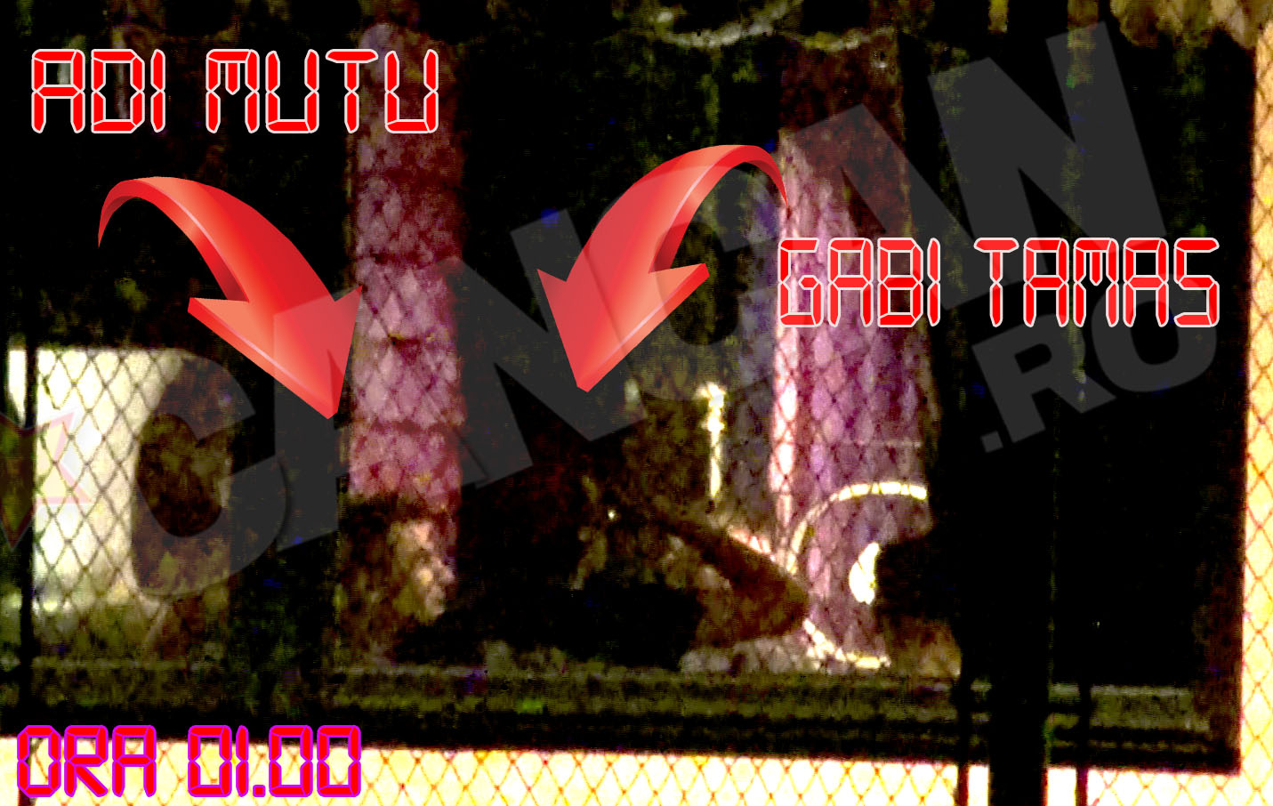 Mutu si Tamas s-au intalnit intr-un restaurant cu specific italian, dupa miezul noptii