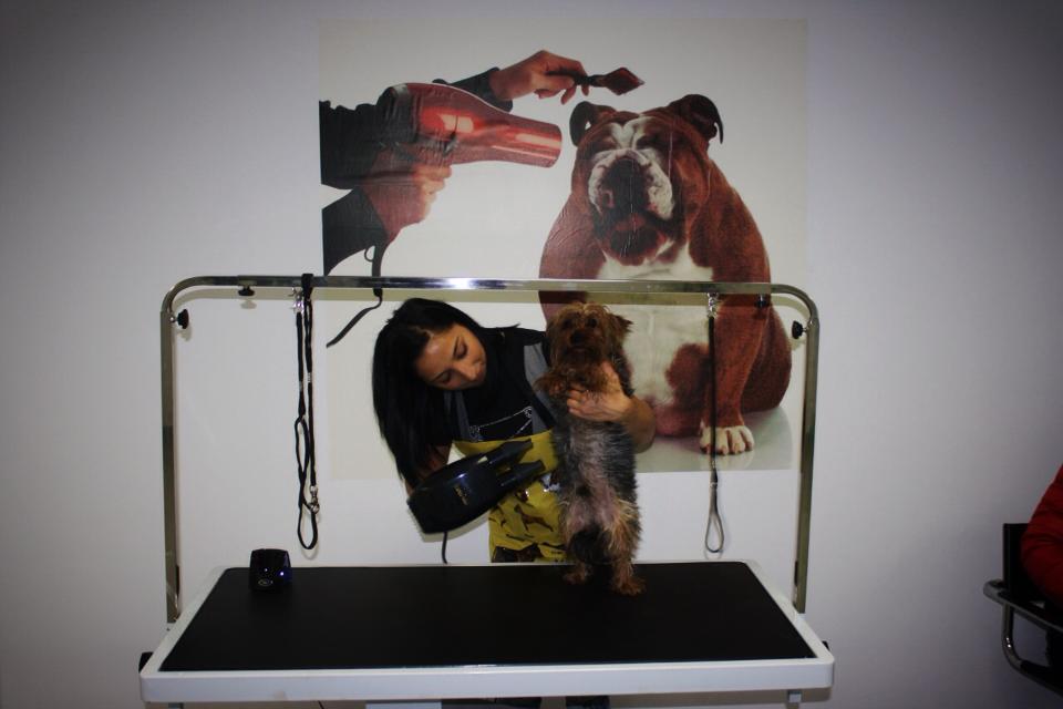 Primii clienti si-au facut deja aparitia