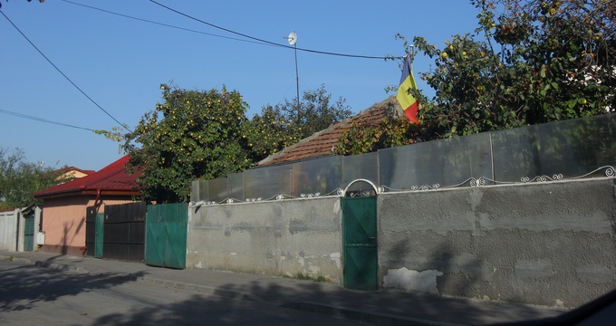 Copii ar fi venit dupa gutui si au sarit intr-o curte, iar vecinii lor aveau trei caini, printre care si un pit bull