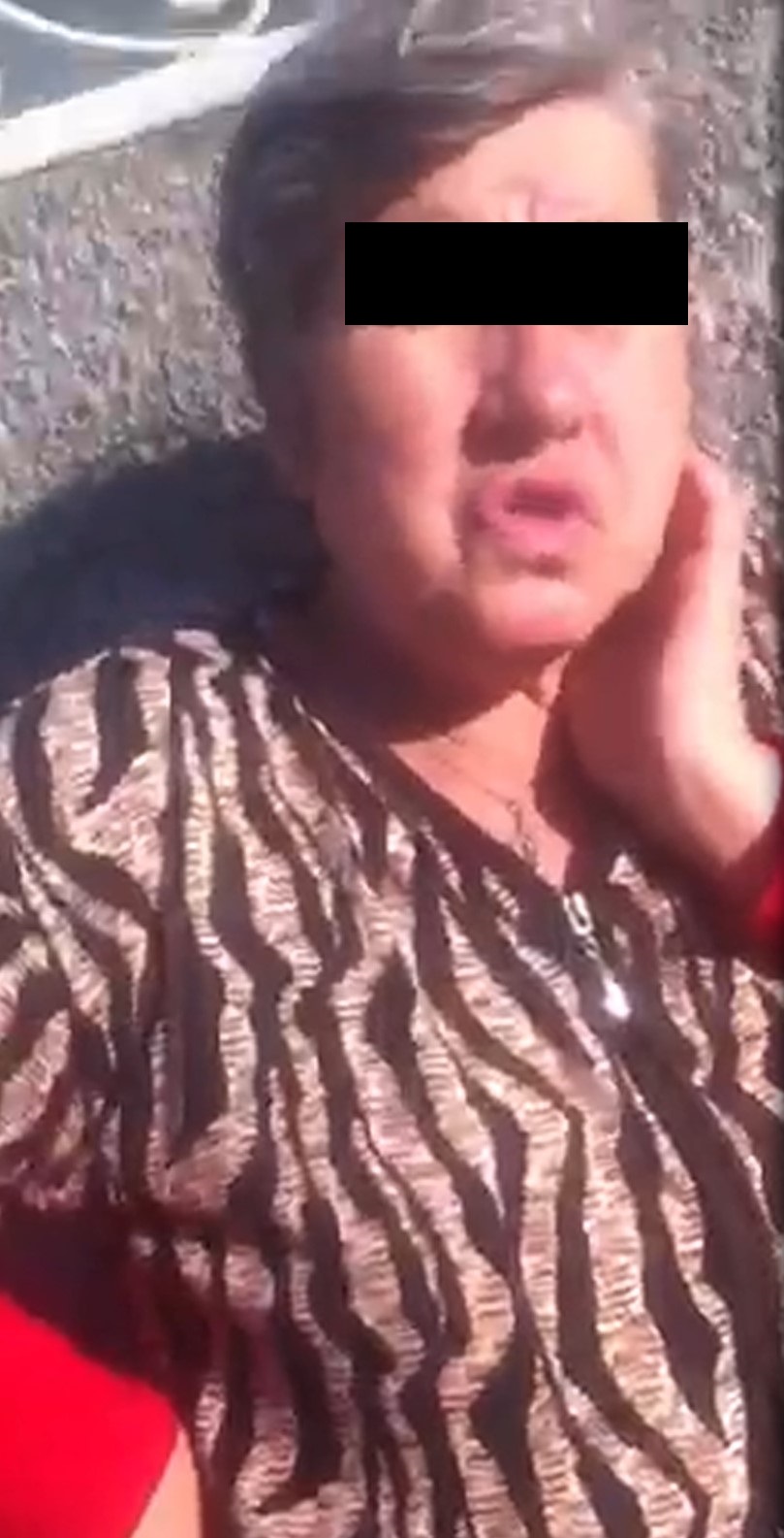 Proprietara spune ca pustii au sarit gardul in curtea vecinei sale