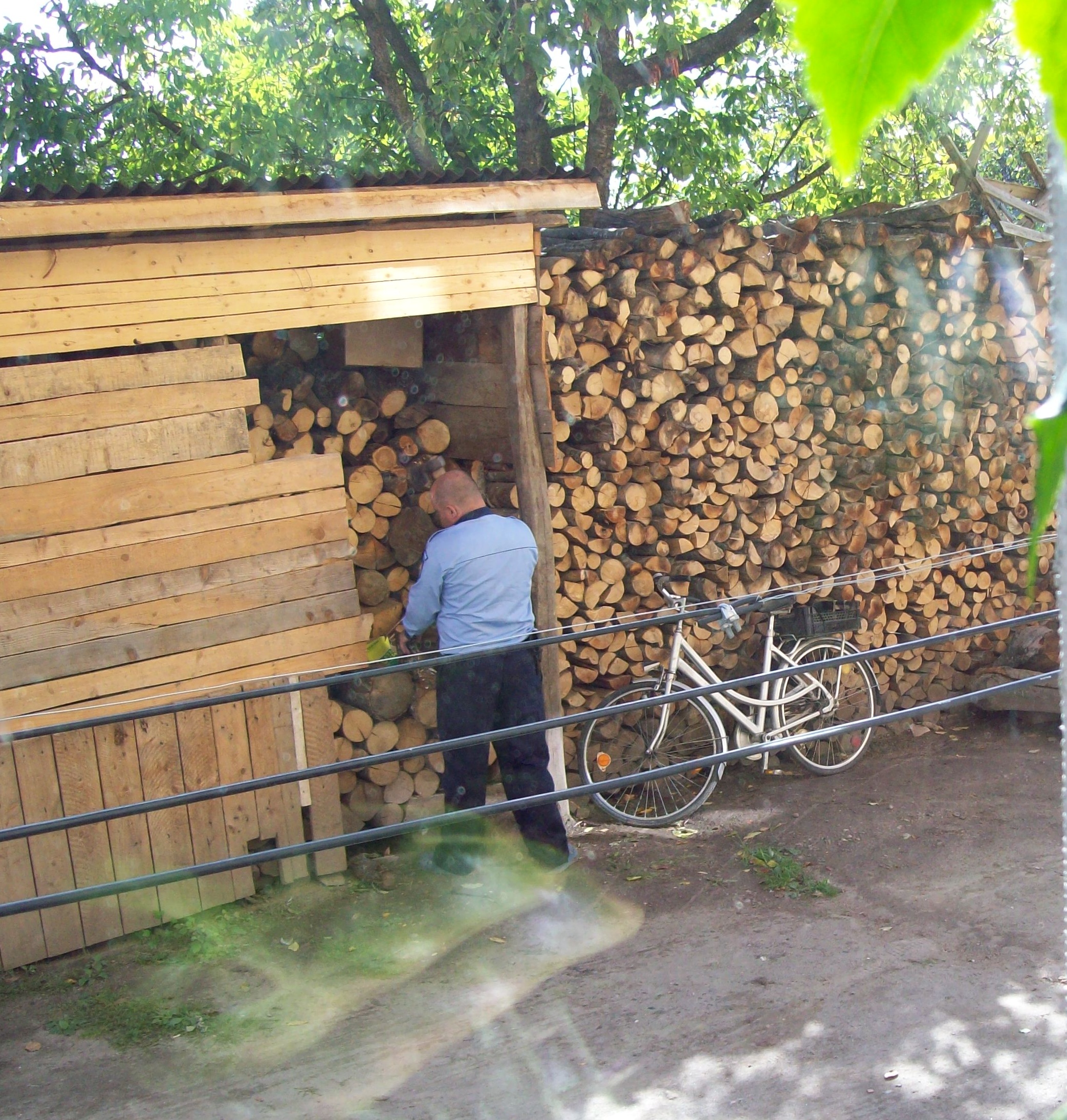 Omul legii taie lemne imbracat in uniforma