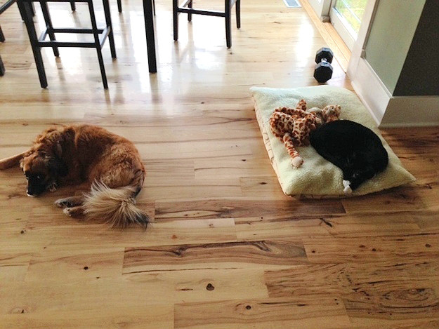 De ce eu? Avem loc amandoi!