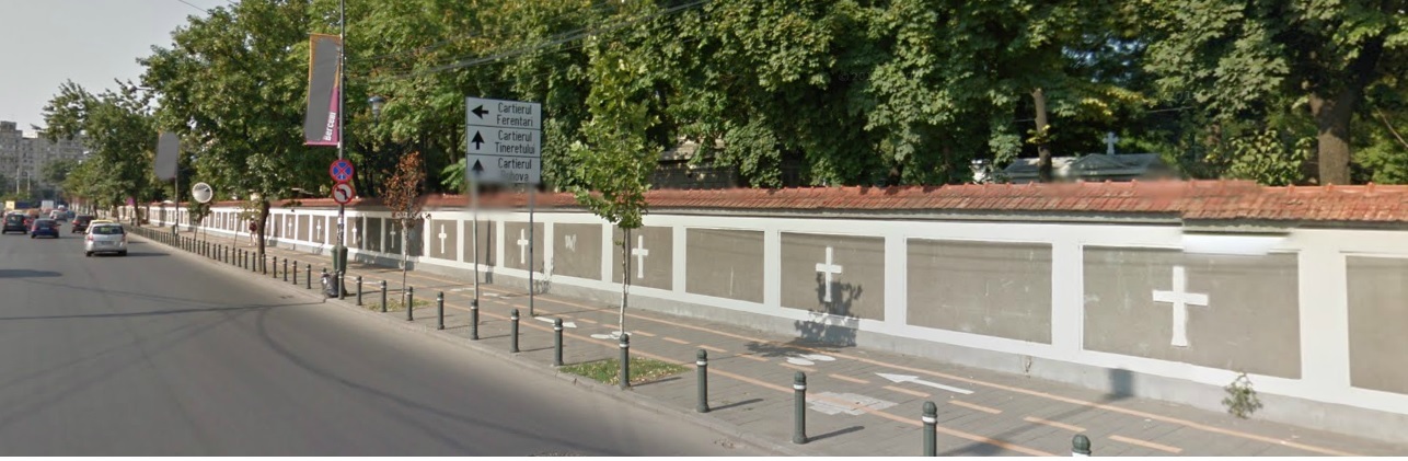 Ei se urcau pe gard si 