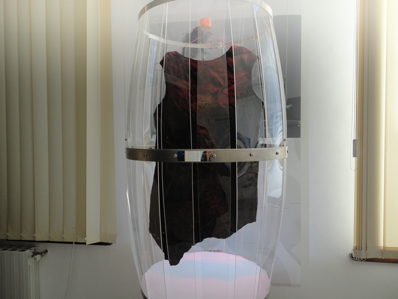 Rochie facuta din vin