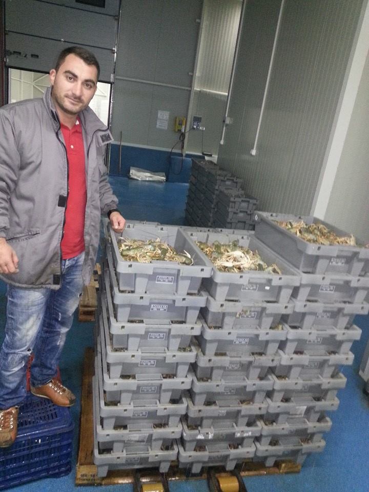 O tona de raci ii asteapta pe cei care vor sa participe la concurs