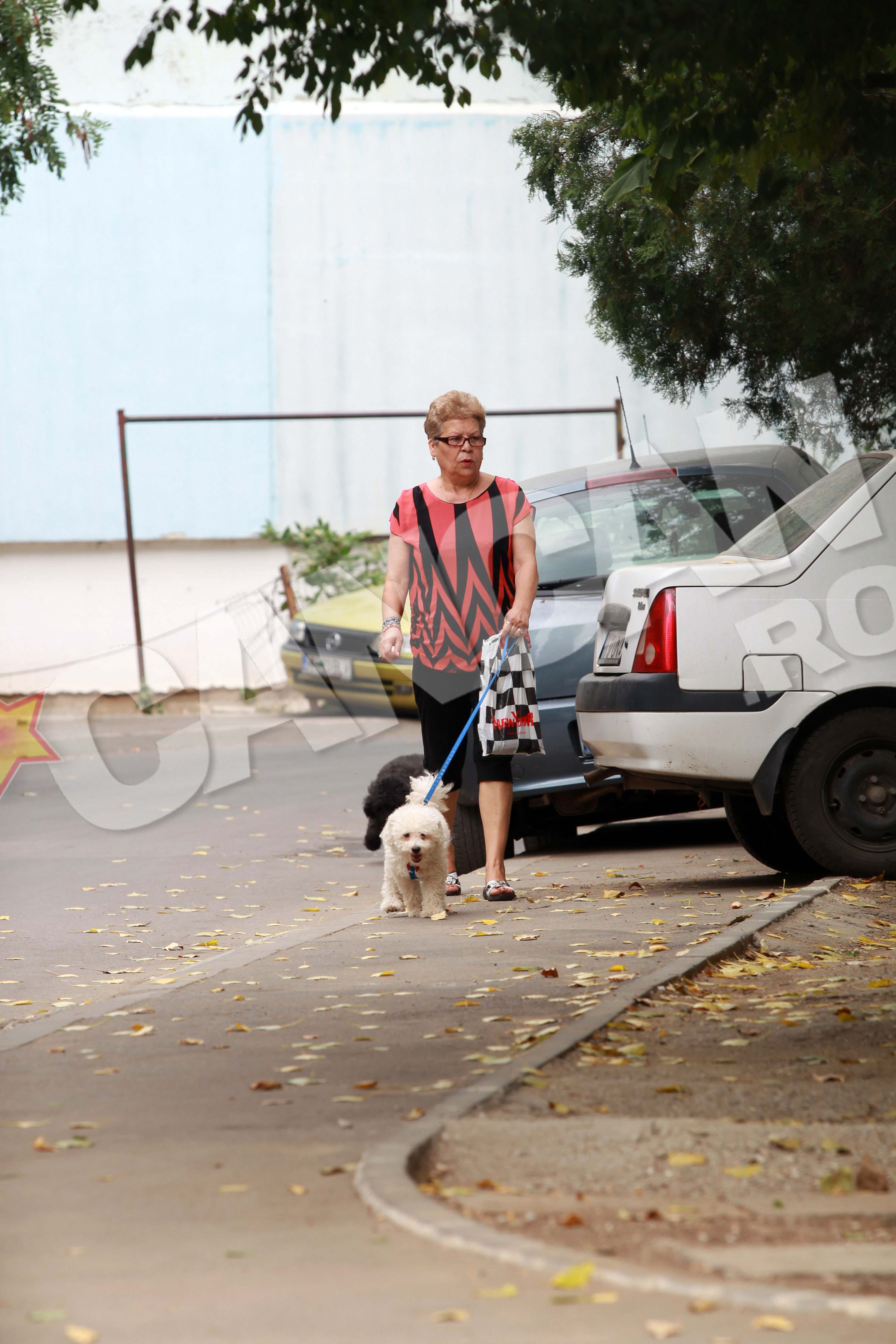 Mama lui Stefan Stan iubeste cateii la fel de mult ca Andreea Mantea