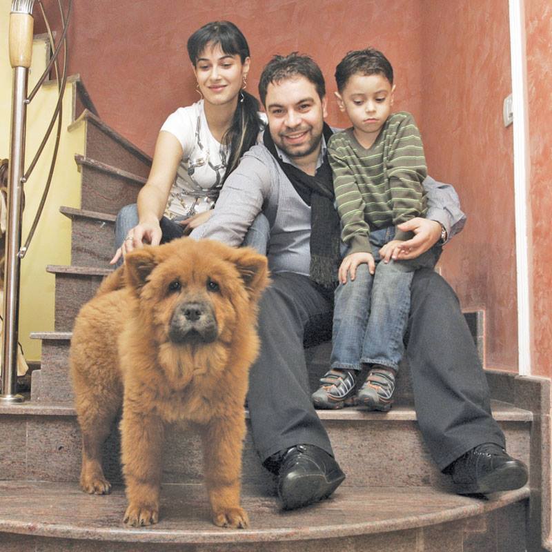 Florin Salam, Fănica şi Daniel