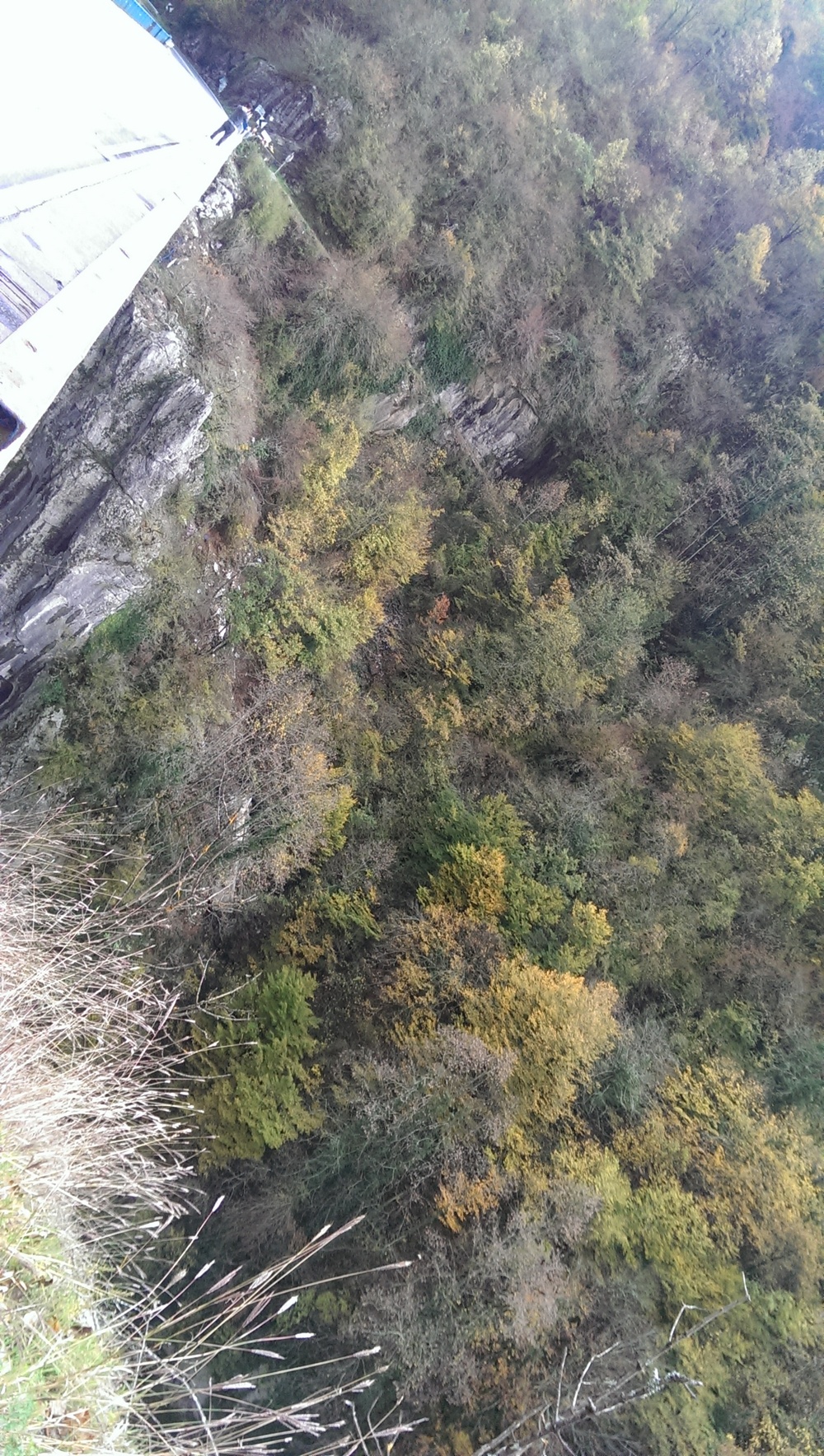 Autobuzul a cazut de la aproximativ 80 de metri in prapastie