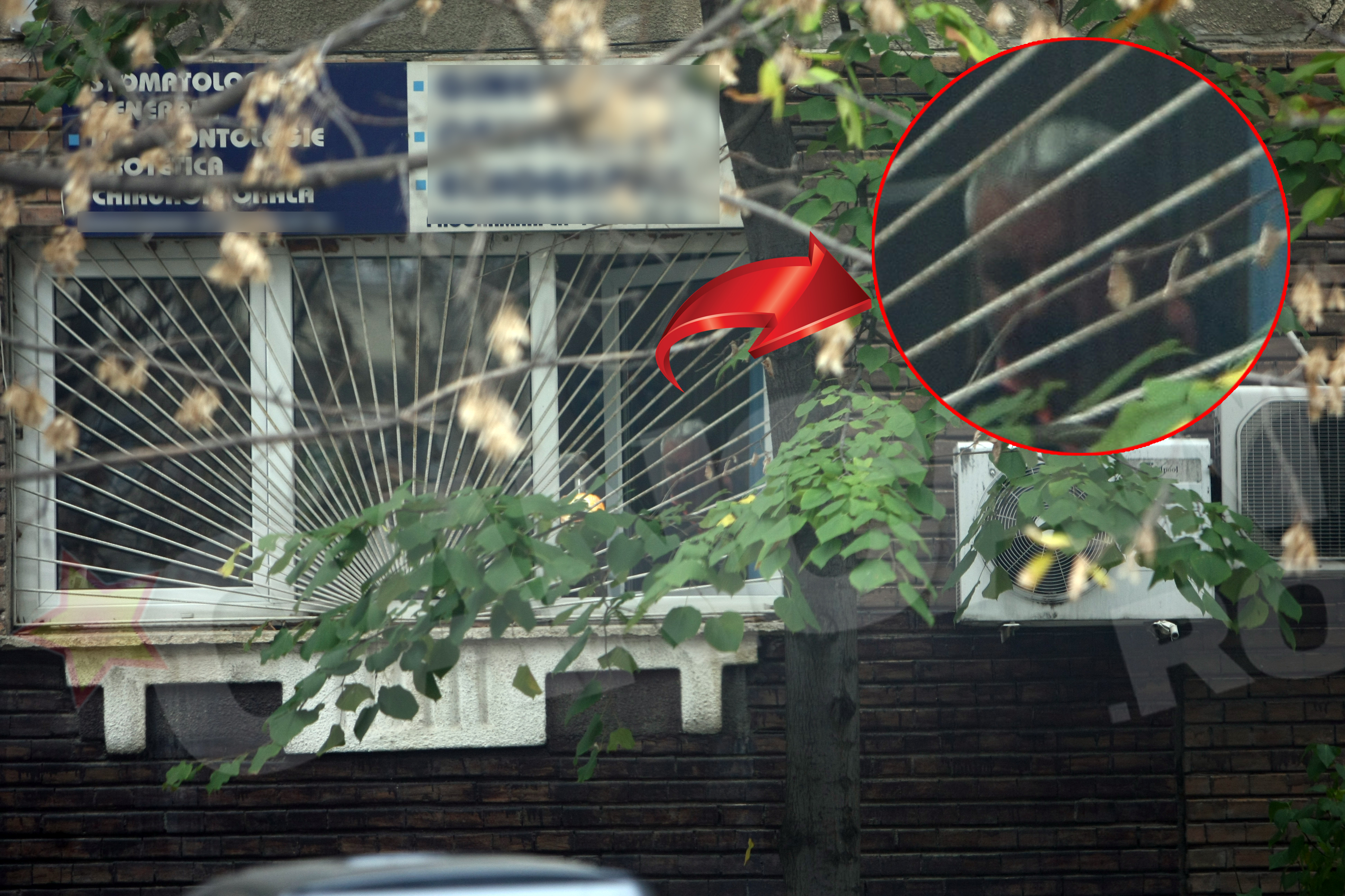 Camataru nu s-a despartit nicio clipa de sotia sa, nici atunci cand aceasta s-a asezat pe scaunul dentistului