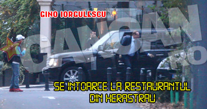 Gino Iorgulescu