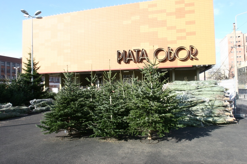 Brazii romanesti vor costa intre 10 si 30 de lei