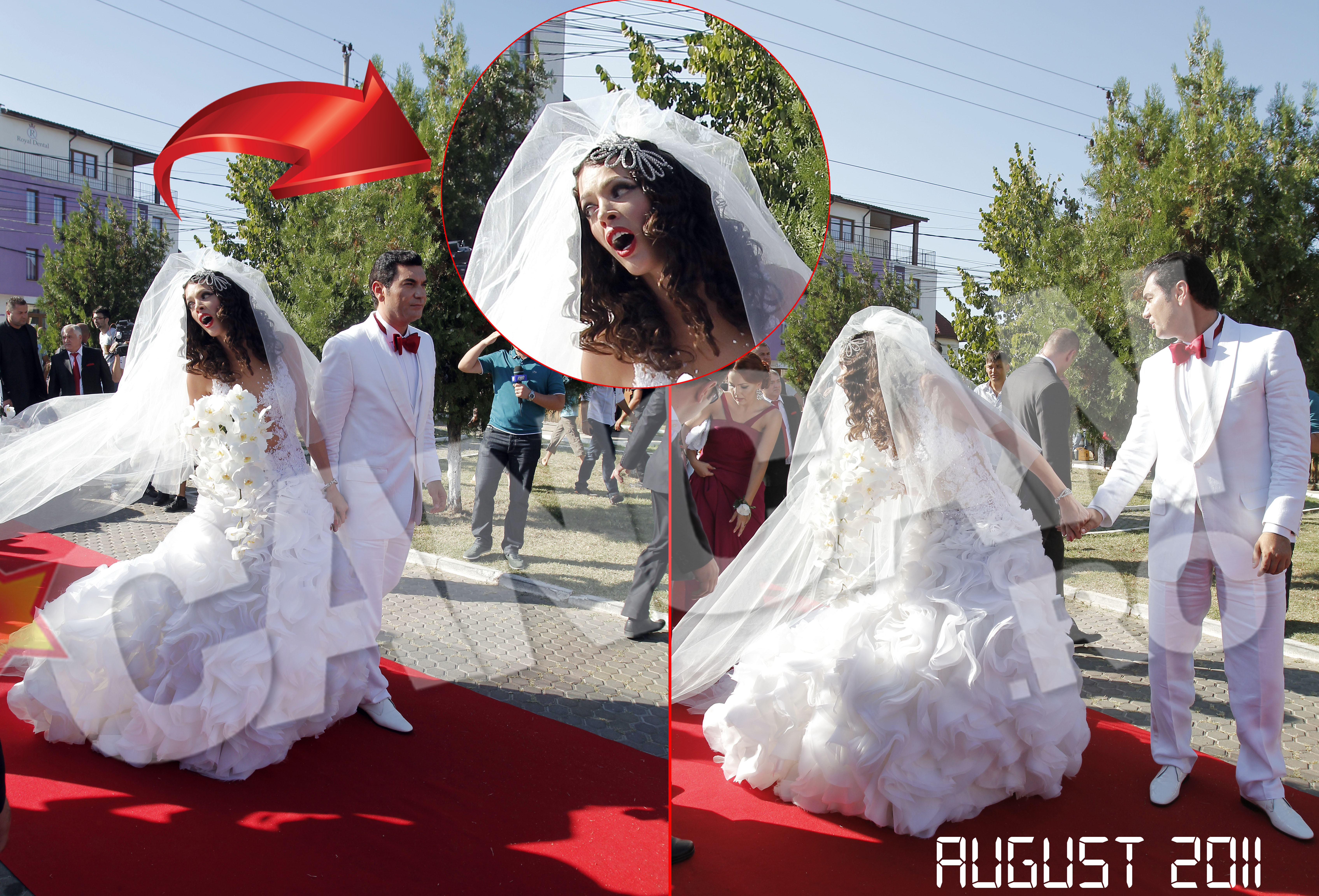 Un bodyguard a calcat pe voalul Alinei Vidican