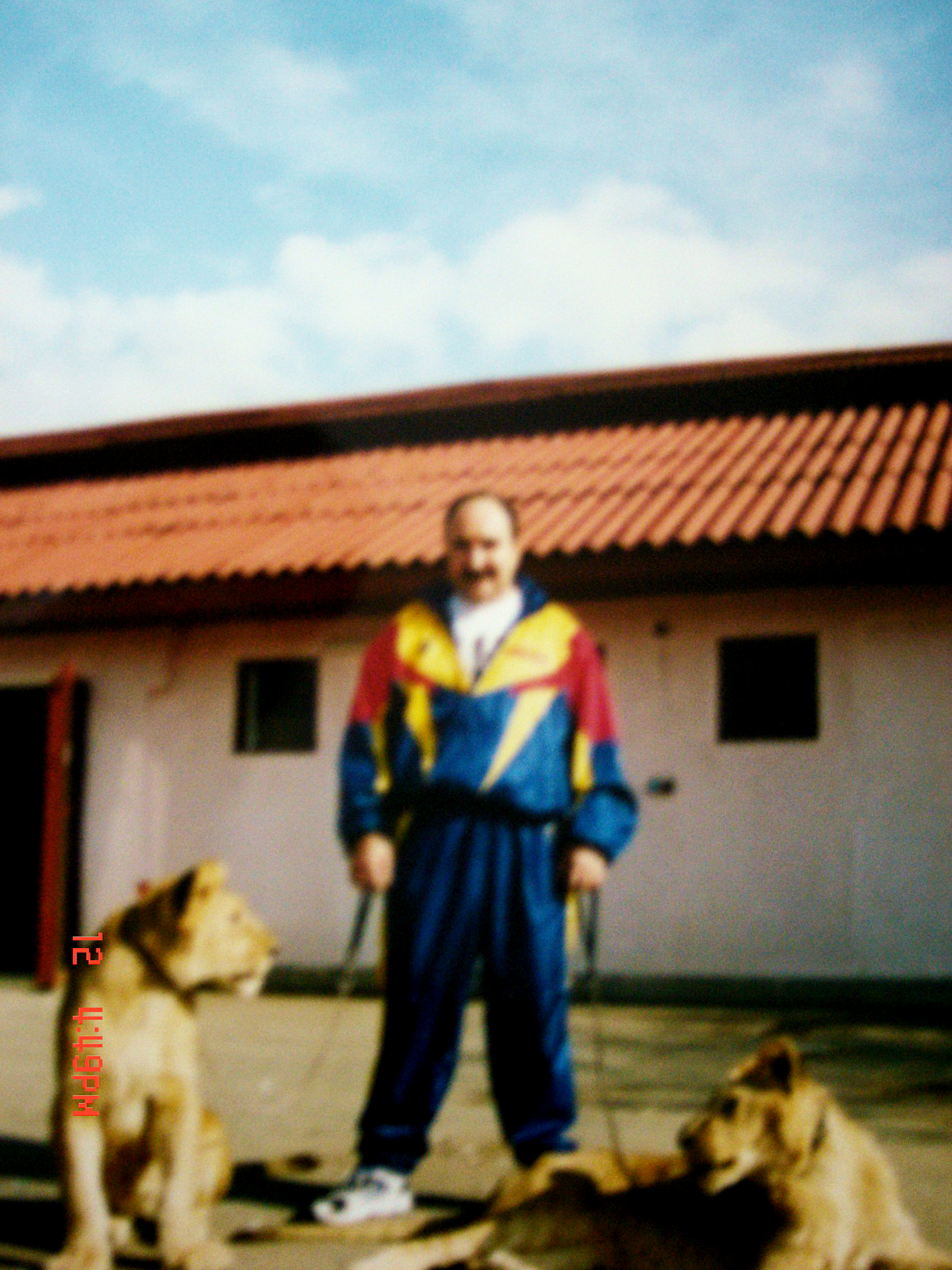 Ion Balint si leii pe care-i avea acasa