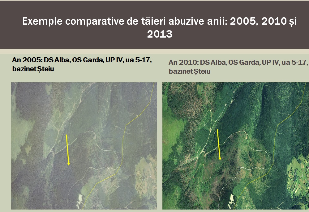 Hotii de lemn au lasat despadurite zeci de dealuri si coline