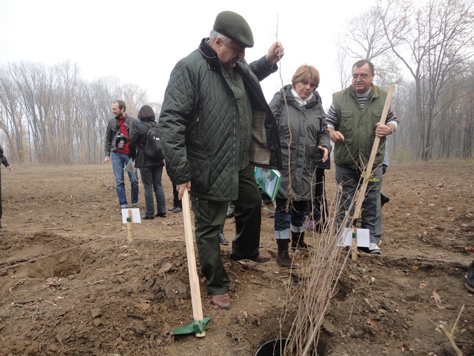Adam craciunescu la o campanie de plantare la Snagov