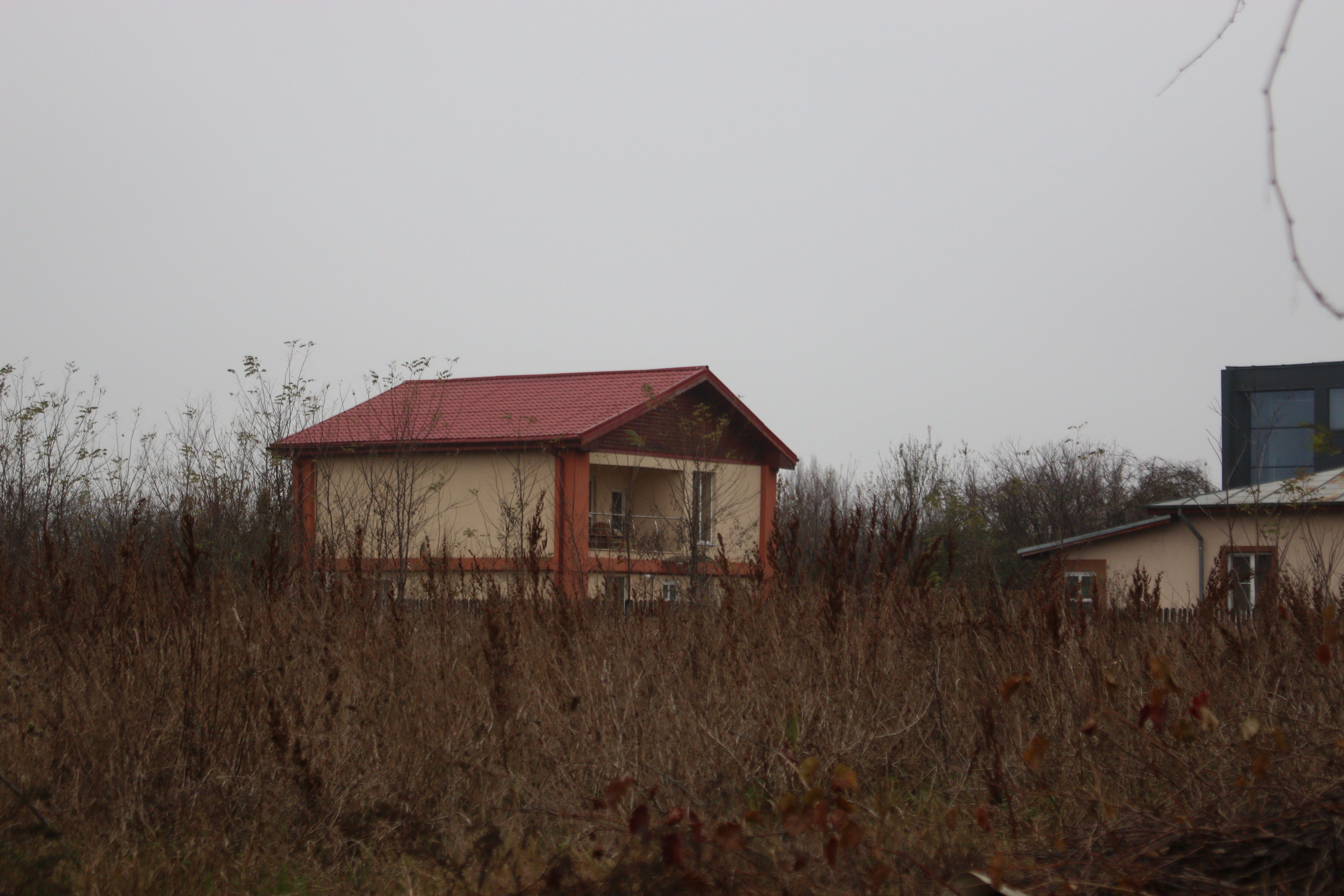 Vila din Otopeni din care a plecat mama regretatului actor