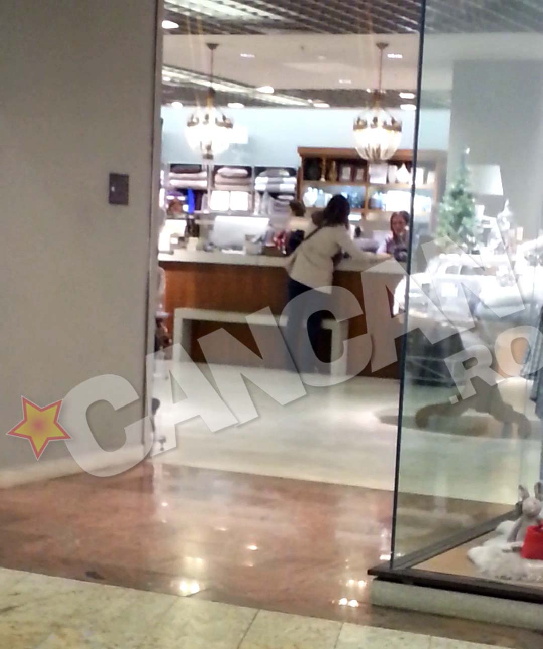 Fosta doamna Zaharescu a platit toate cumparaturile si le-a lasat indicatii precise cu privire la adresa unde sa fie livrata marfa