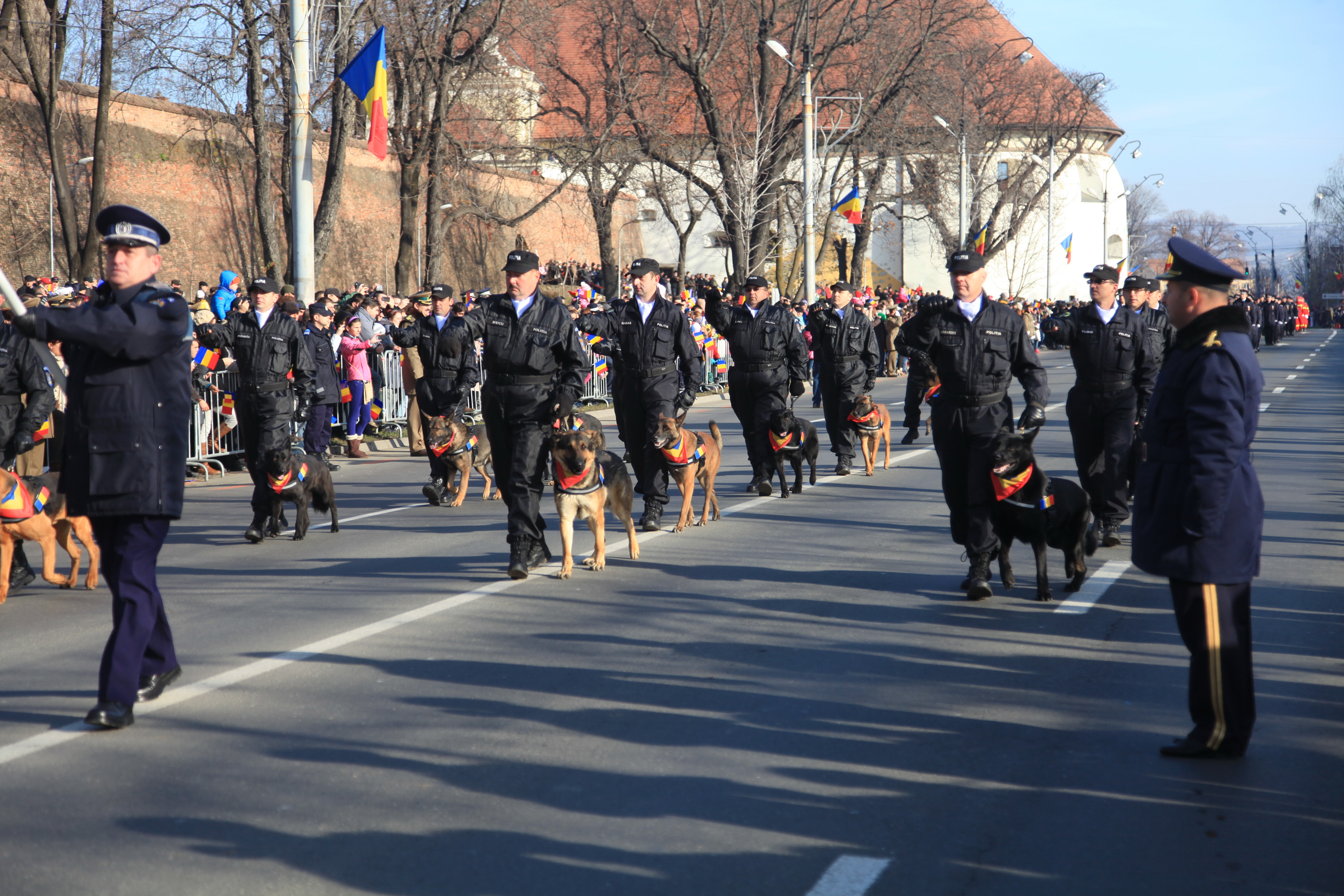 sursa: monitoruldesibiu.com