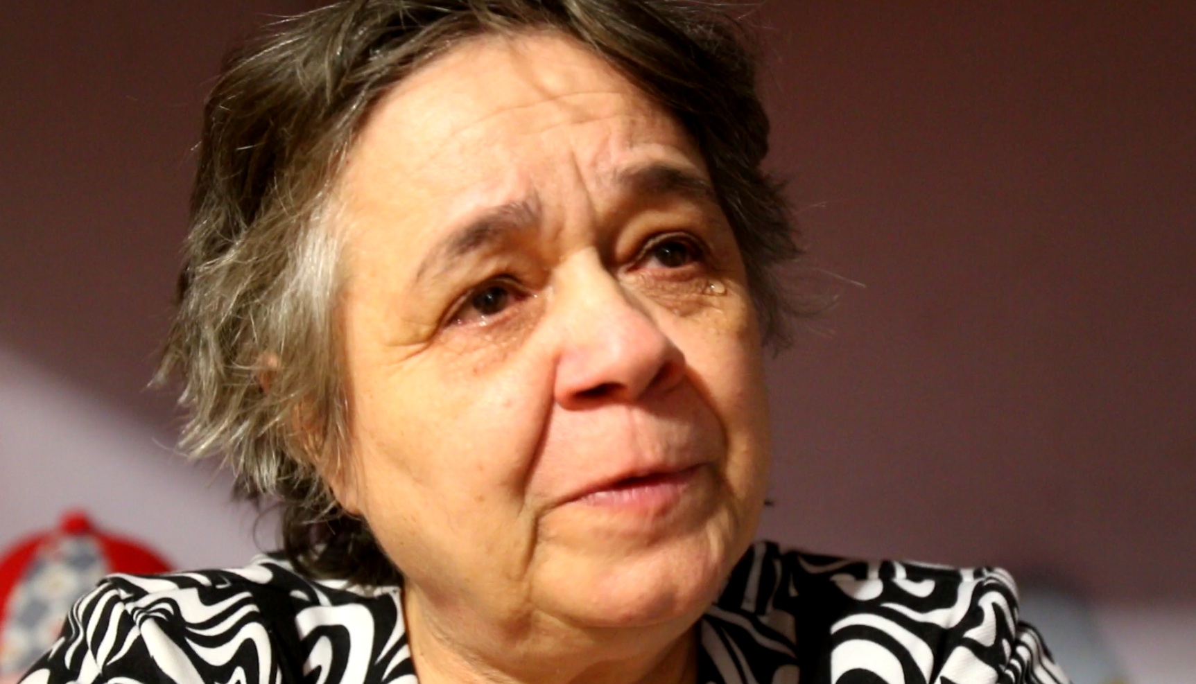 Dupa ce si-a pierdut fiica, Viviana Radu a devenit mama pentru alti 15 copii