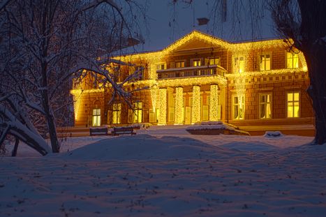 Castelul de la Savarsin (foto:http://casa-regala.blogspot.ro)