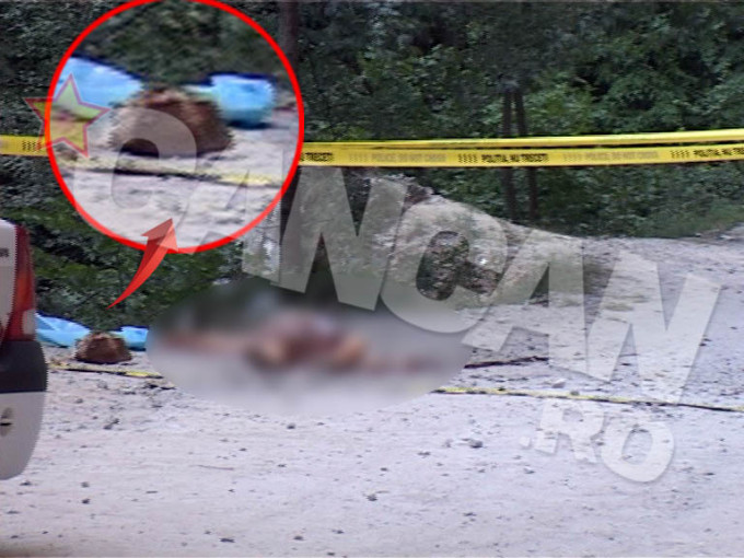 Piatra care a lovit-o in cap pe Veronica Bulai era plina de sange