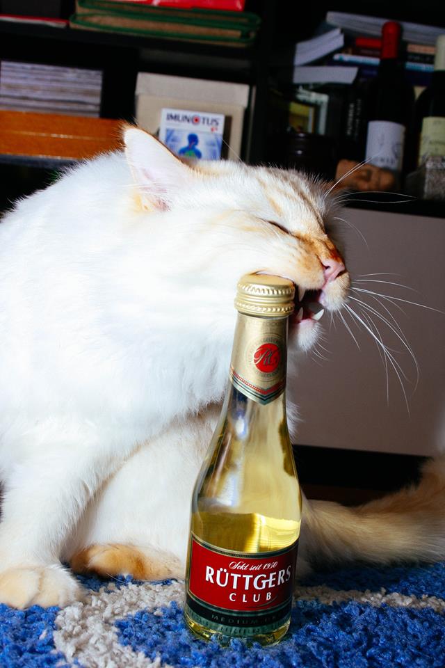 O imagine care nu mai are nevoie de nicio explicatie