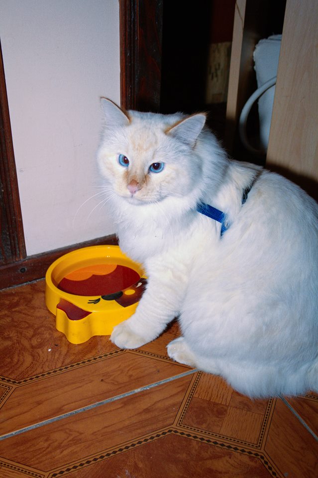 Lentila suparat ca in castron are doar apa