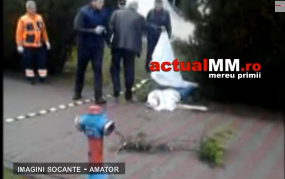 Imaginile au fost surpinse de un martor