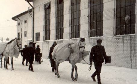 Imagine din fototeca Muzeului National Militar