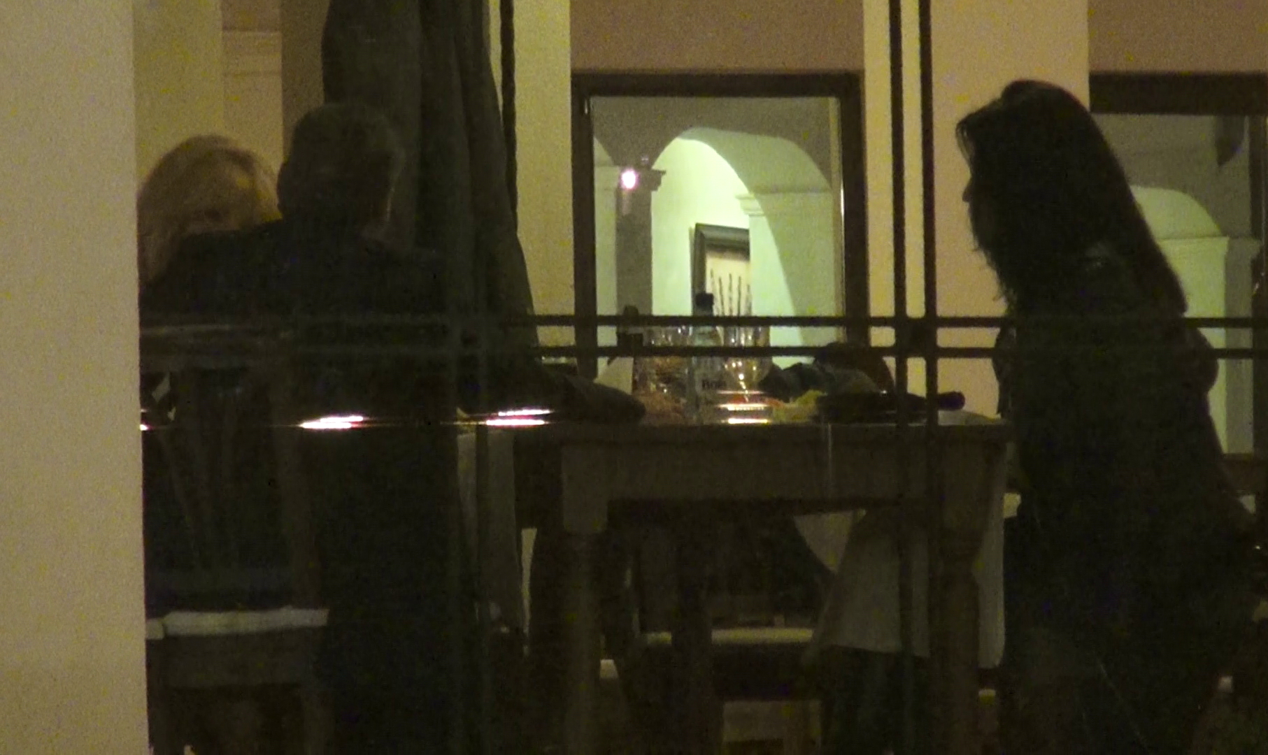 Petre Roman si Silvia Chifiriuc - 5