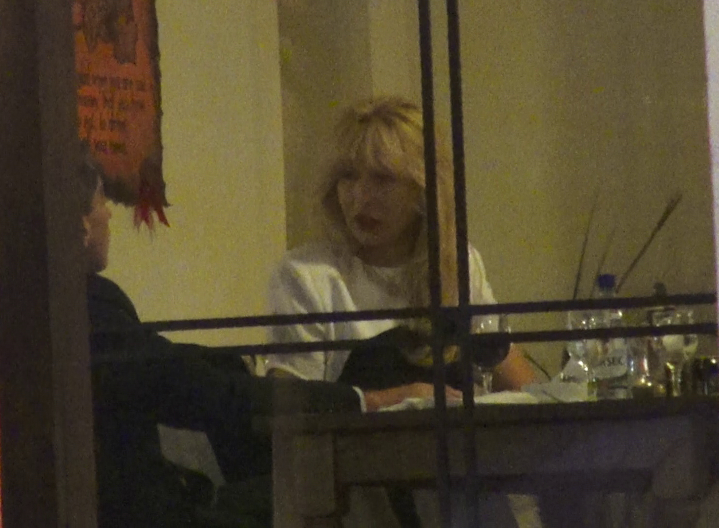 Petre Roman si Silvia Chifiriuc - 1