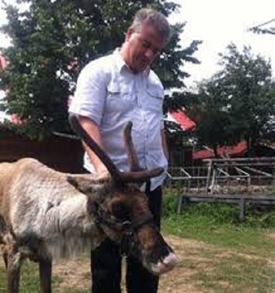 Consilierul Cristian Dumitru si-a cumparat doi reni