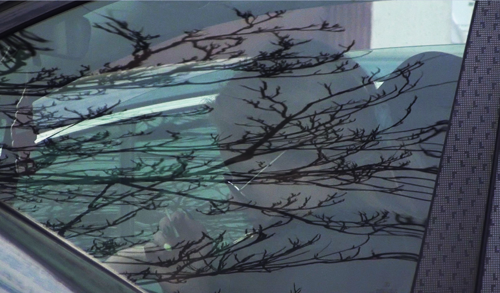 What's Up i-a pasat tigara Siminei