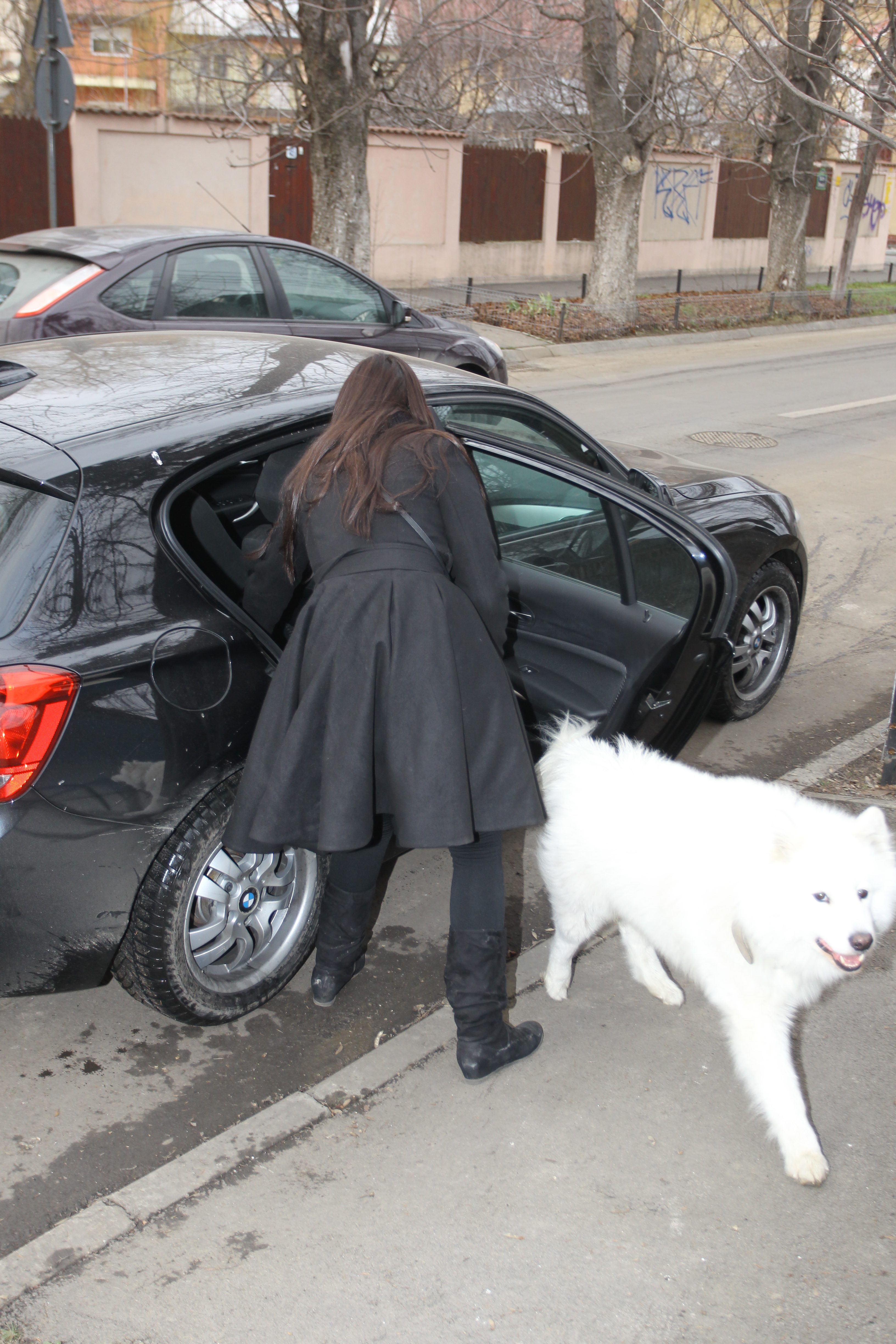 Paula si-a scos catelul la plimbare in parc