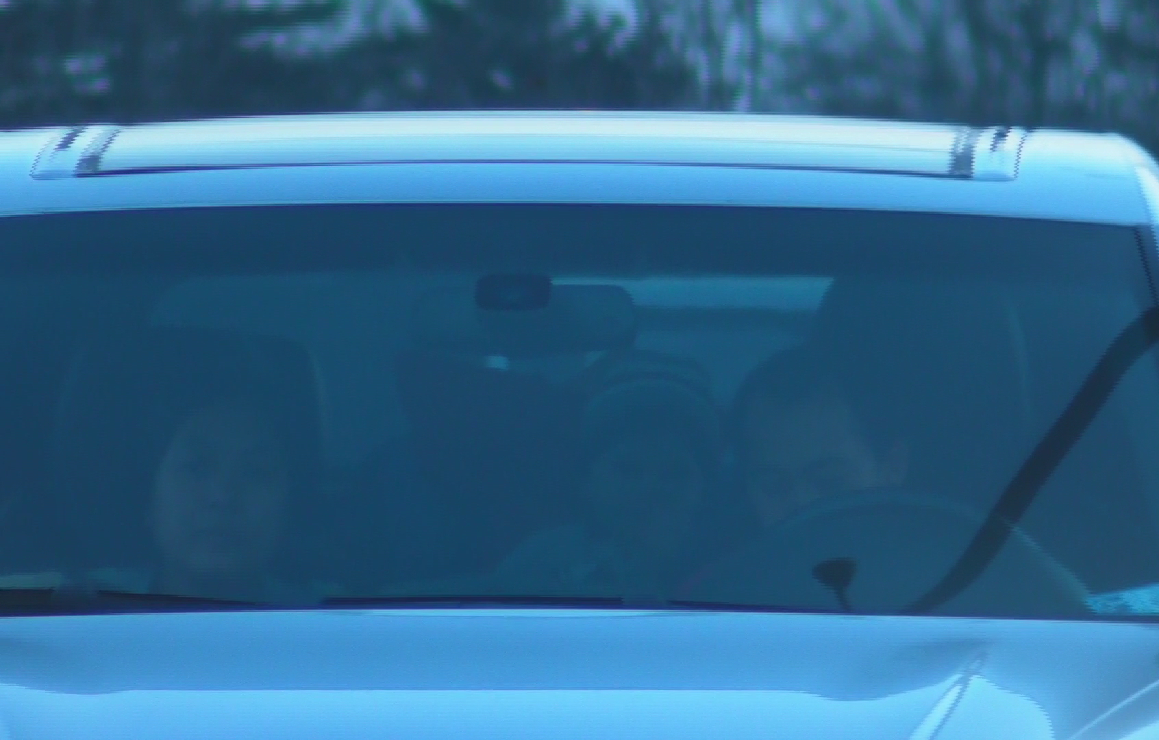 George Alexandru Borcea - 10