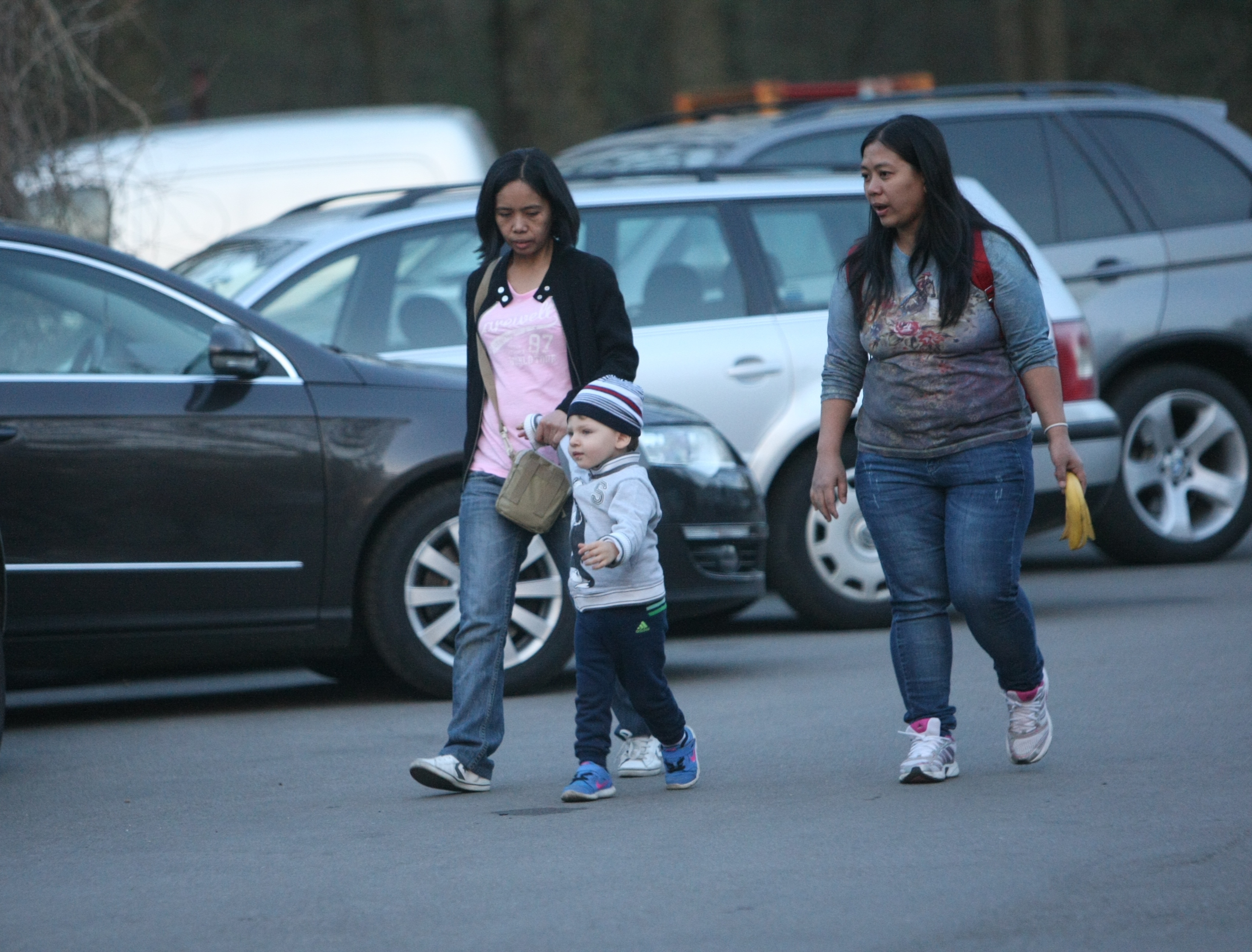 George Alexandru Borcea - 3