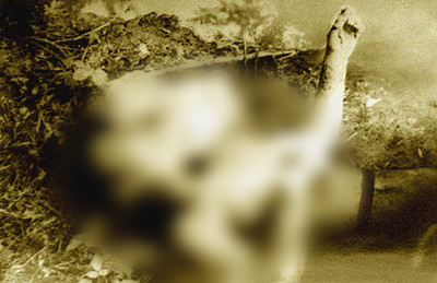 Victima lui Gheorghe Avram, despre care s-a crezut ca a fost ucisa de Marcel Tundrea, a fost omorata prin introducerea de pietre pe esofag