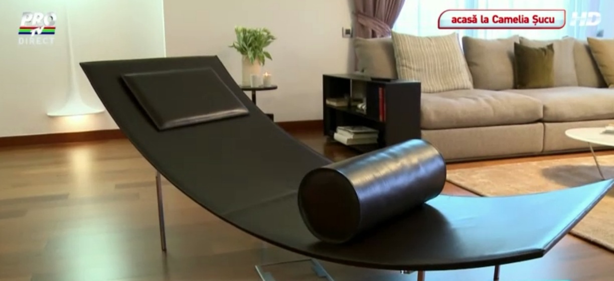 Locuinta Cameliei Sucu pare desprinsa dintr-un film de la Hollywood