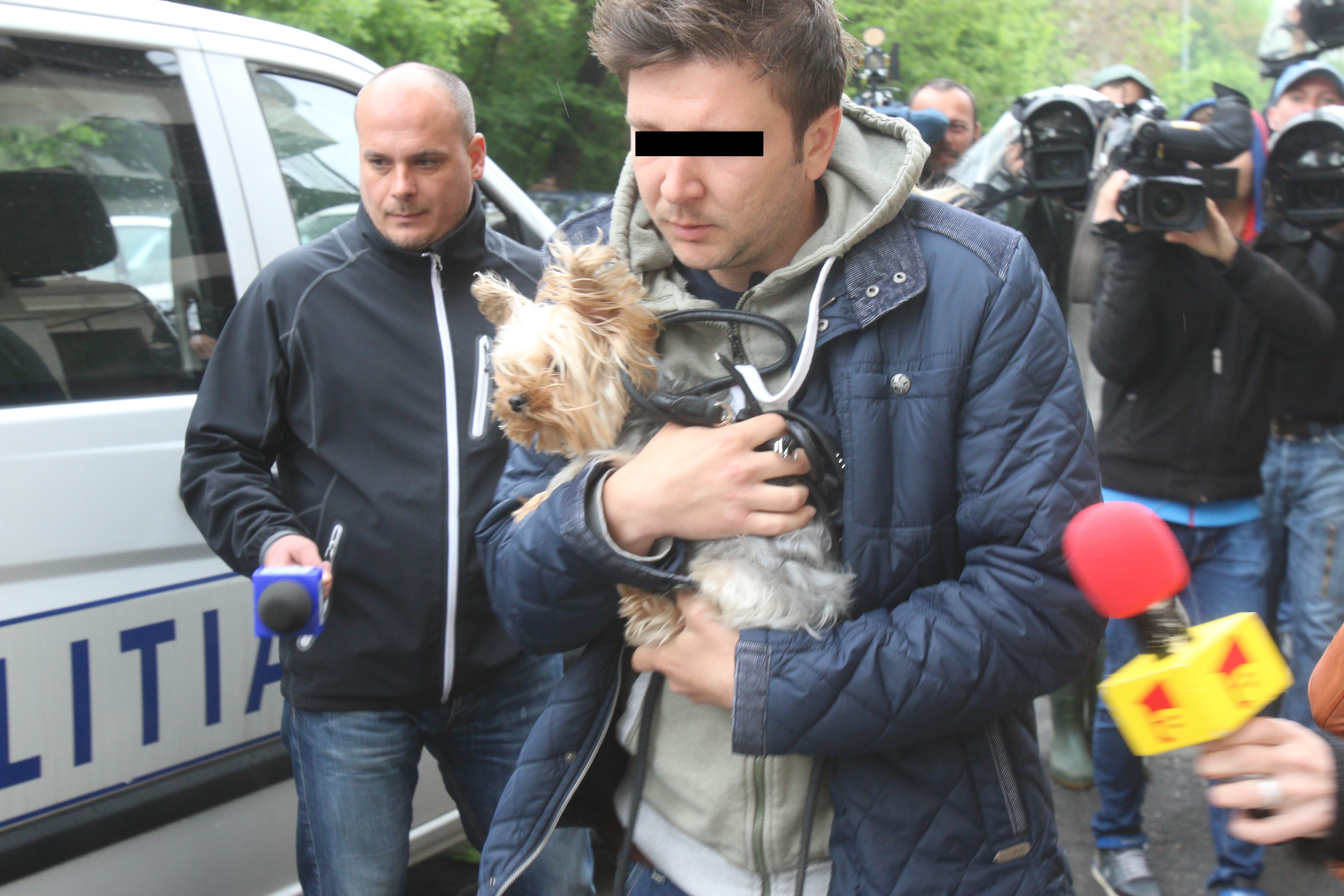 Cainele milionarului a fost martor la scena sangeroasa