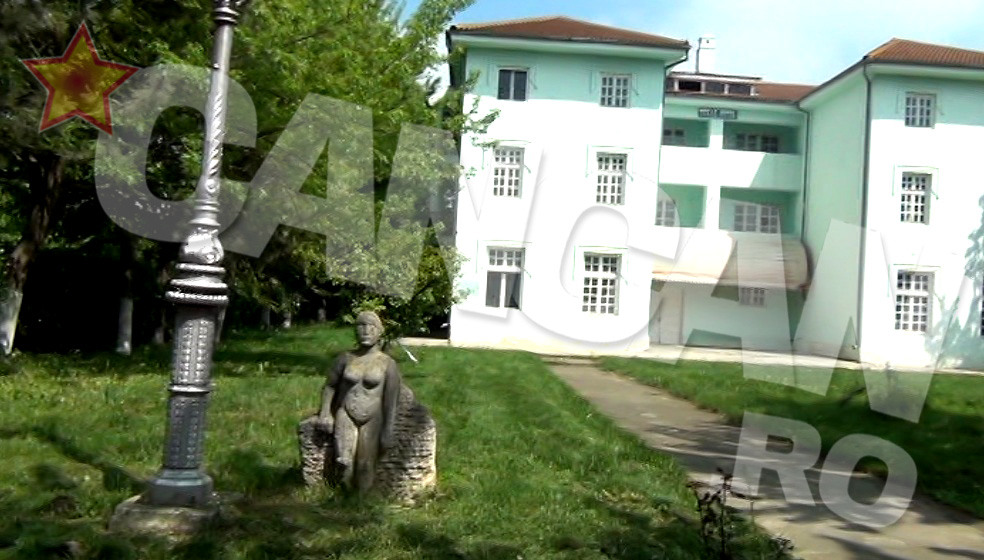 Doar o statuie pitica mai vegheaza pe mosia lui Ilie Alexandru