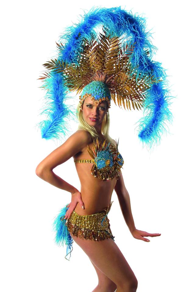 Alexandra Shine a fost victima unui accident rutier in 2009