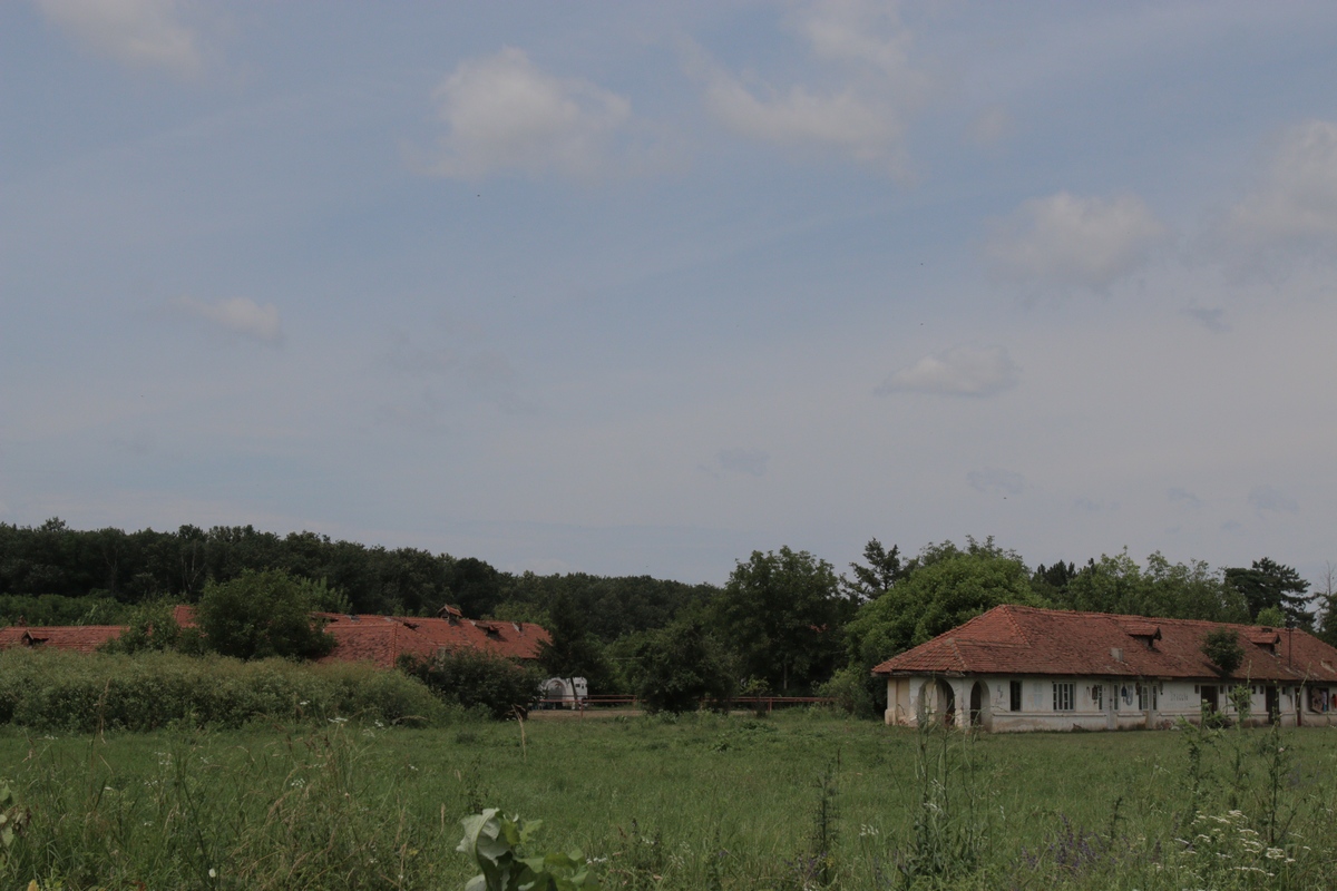 Se spune ca povestea baltii a fost invenatat de fostul patron al hergheliei Darcula, chair d elanga padurea in care se afla ochiul de apa