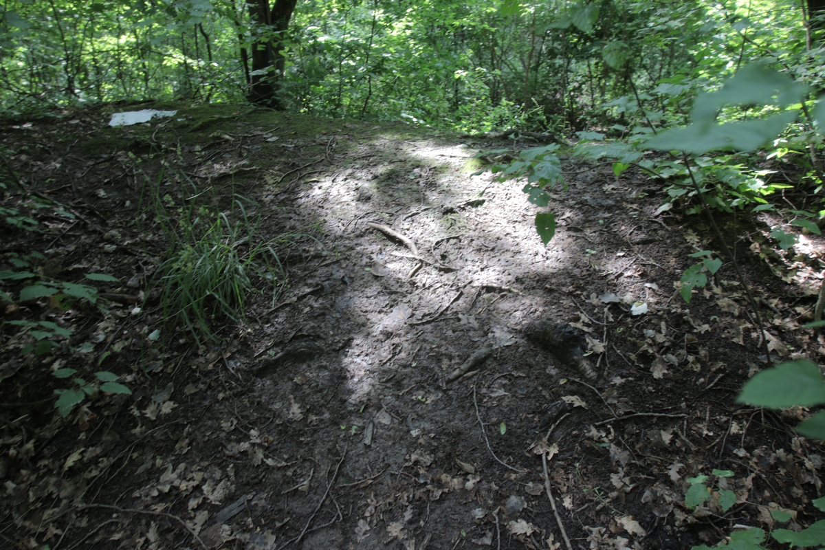 Nici macar cele doua poteci care duc la balta nu au mai fost calcate de ceva vreme
