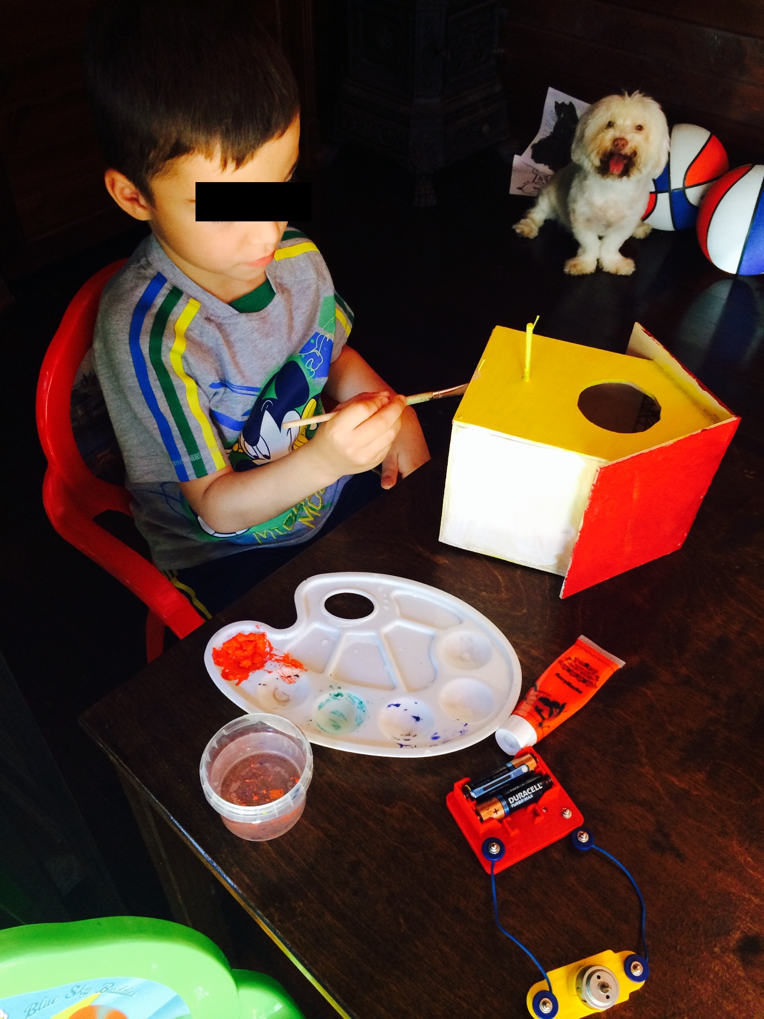 Maximus a avut ideea de a construi o casuta pentru pasari, iar tatal lui l-a ajutat s-o faca